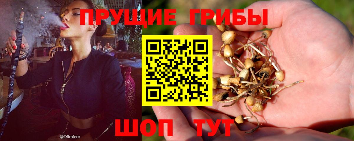 Галлюциногенные грибы мухоморы Ступино